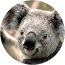Tyler Lominac profile picture